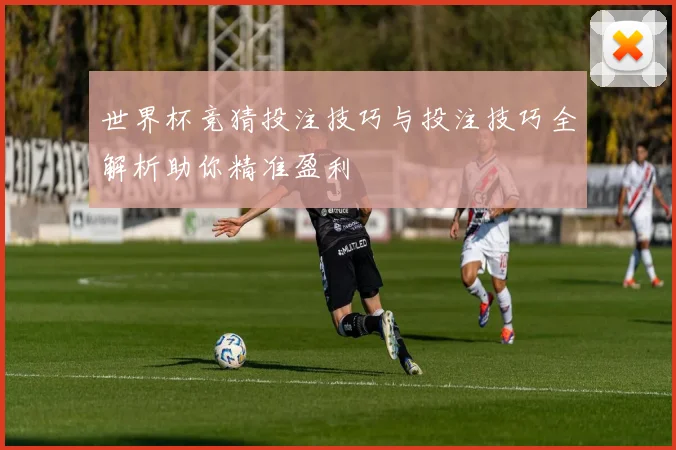 世界杯竞猜投注技巧与投注技巧全解析助你精准盈利
