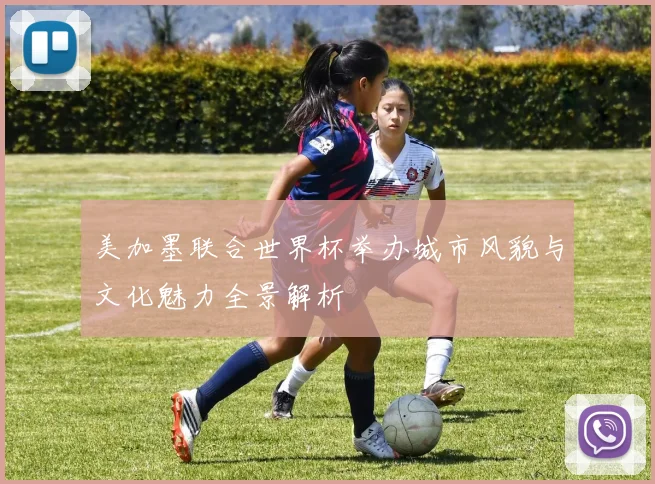 美加墨联合世界杯举办城市风貌与文化魅力全景解析