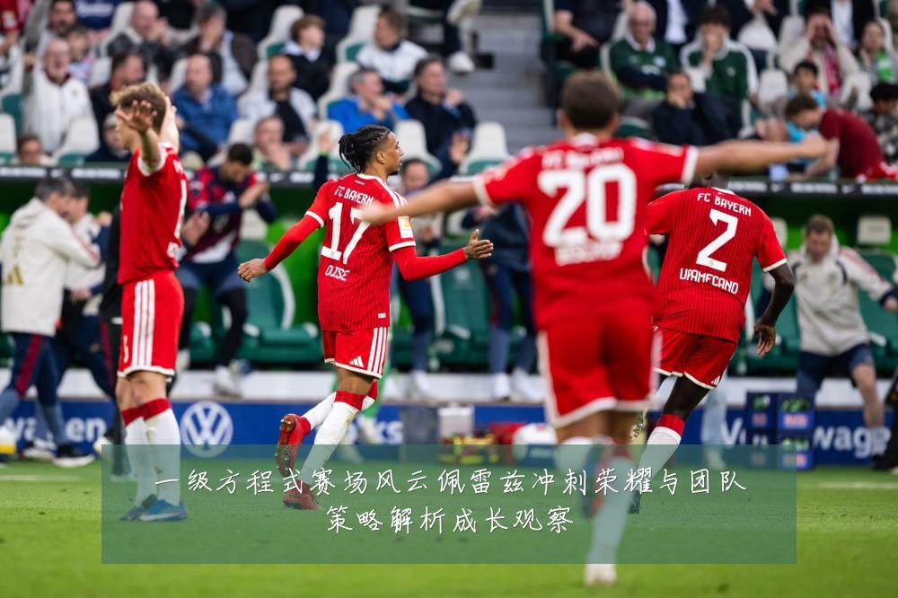 一级方程式赛场风云佩雷兹冲刺荣耀与团队策略解析成长观察